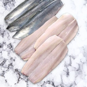 Atlanto silkės filė išklotinė 3 kg.