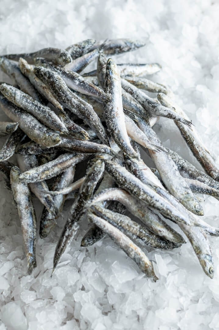 Ančiuviai. Laukinės europinės žuvelės. (0,5 kg.)