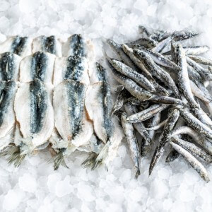 Sardinių filė ir ančiuvių rinkinys (2,5kg + 0,5kg)